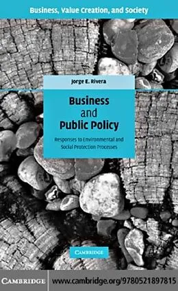 E-Book (pdf) Business and Public Policy von Jorge E. Rivera