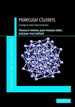 eBook (pdf) Molecular Clusters de Thomas Fehlner