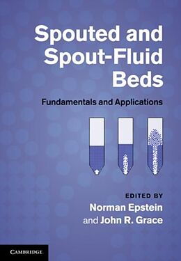 eBook (pdf) Spouted and Spout-Fluid Beds de Epstein/Grace