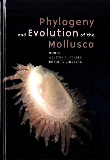 Phylogeny and Evolution of the Mollusca
