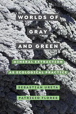 E-Book (epub) Worlds of Gray and Green von Sebastián Ureta