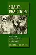E-Book (pdf) Shady Practices von Richard A. Schroeder