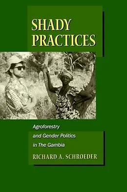 E-Book (pdf) Shady Practices von Richard A. Schroeder