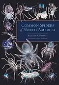 E-Book (epub) Common Spiders of North America von Richard A. Bradley