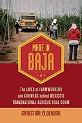 E-Book (epub) Made in Baja von Christian Zlolniski