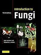 Kartonierter Einband Introduction to Fungi von John Webster, Roland Weber