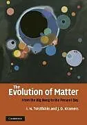 Kartonierter Einband The Evolution of Matter von Igor Tolstikhin, Jan Kramers
