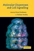 Kartonierter Einband Molecular Chaperones and Cell Signalling von Brian Pockley, A. Graham Henderson