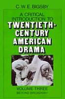 Fester Einband A Critical Introduction to Twentieth-Century American Drama: Volume 3, Beyond Broadway von C. W. E. Bigsby
