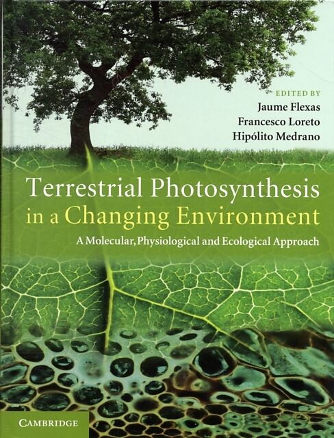 Terrestrial Photosynthesis in a Changing Environment