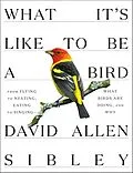 E-Book (epub) What It's Like to Be a Bird von David Allen Sibley