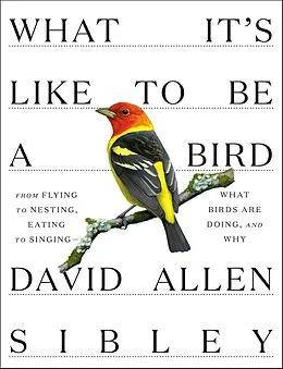 E-Book (epub) What It's Like to Be a Bird von David Allen Sibley