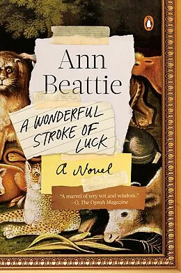 E-Book (epub) A Wonderful Stroke of Luck von Ann Beattie