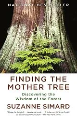 Kartonierter Einband Finding the Mother Tree von Suzanne Simard