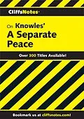 E-Book (epub) CliffsNotes on Knowles' A Separate Peace von Regina Higgins