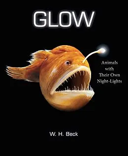 E-Book (epub) Glow von W. H. Beck