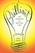 E-Book (epub) Brilliant von Jane Brox