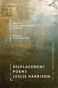 E-Book (epub) Displacement von Leslie Harrison