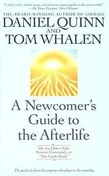 Kartonierter Einband A Newcomer's Guide to the Afterlife von Quinn Daniel