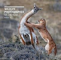 Livre Relié Wildlife Photographer of the Year: Portfolio 29 de Rosamund Kidman Cox