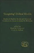 E-Book (pdf) Imagining' Biblical Worlds von 