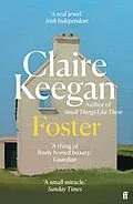 E-Book (epub) Foster von Claire Keegan