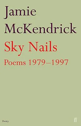 E-Book (epub) Sky Nails von Jamie Mckendrick