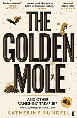 eBook (epub) The Golden Mole de Katherine Rundell