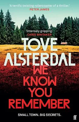 E-Book (epub) We Know You Remember von Tove Alsterdal