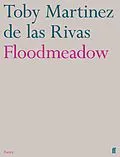 E-Book (epub) Floodmeadow von Toby Martinez de las Rivas