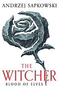 E-Book (epub) Blood of Elves von Andrzej Sapkowski