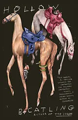 Taschenbuch Hollow von Brian Catling