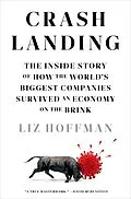 E-Book (epub) Crash Landing von Liz Hoffman