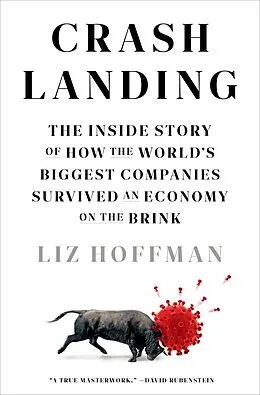 E-Book (epub) Crash Landing von Liz Hoffman