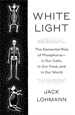 Livre Relié White Light de Jack Lohmann