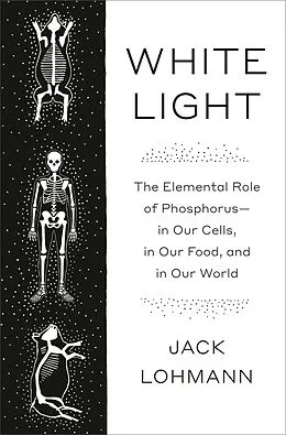 E-Book (epub) White Light von Jack Lohmann