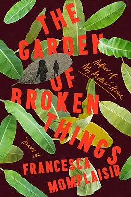 E-Book (epub) The Garden of Broken Things von Francesca Momplaisir
