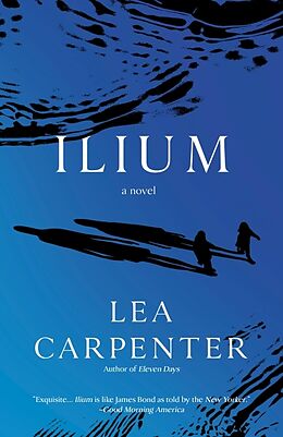 Couverture cartonnée Ilium de Lea Carpenter