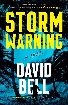 E-Book (epub) Storm Warning von David Bell