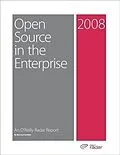 E-Book (pdf) Open Source in the Enterprise von Bernard Golden