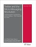 E-Book (pdf) Twitter and the Micro-Messaging Revolution: Communication, Connections, and Immediacy--140 Characters at a Time von Sarah Milstein