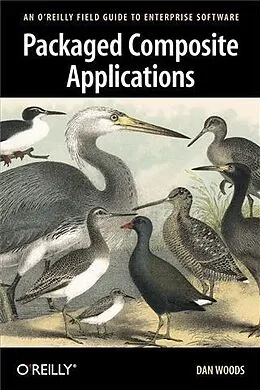 E-Book (pdf) Packaged Composite Applications von Dan Woods