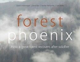 E-Book (pdf) Forest Phoenix von David Lindenmayer, David Blair, Lachlan McBurney