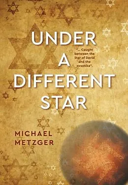 E-Book (epub) Under a Different Star von Michael Metzger