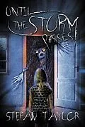 E-Book (epub) Until the Storm Passes von Stefan Taylor