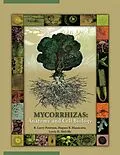 E-Book (pdf) Mycorrhizas von R. L. Peterson, H. B. Massicotte, L. H. Melville