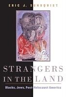 eBook (pdf) Strangers in the Land de Eric J Sundquist