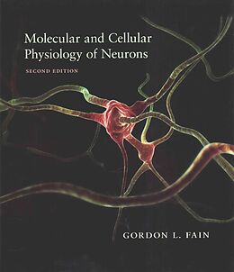 Fester Einband Molecular and Cellular Physiology of Neurons von Gordon L. Fain