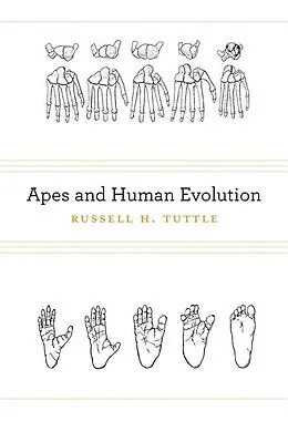 E-Book (epub) Apes and Human Evolution von Russell H. Tuttle