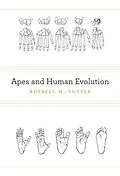 E-Book (epub) Apes and Human Evolution von Russell H. Tuttle